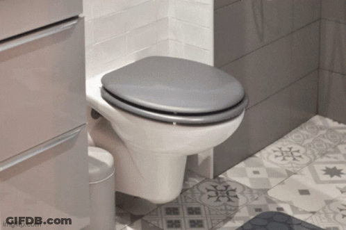 Toilet In Bathroom With Imgflip Watermark GIF