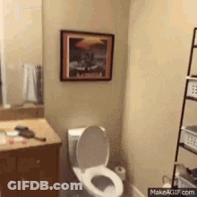 Toilet In Bathroom With Picture GIF