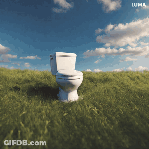 Toilet In Grass Field GIF