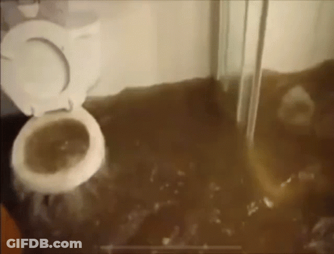 Toilet GIF