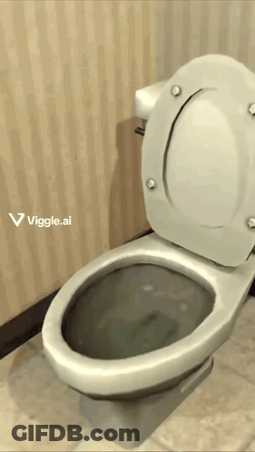 Toilet Lid Up With Viggle.ai Text GIF