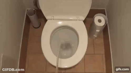 Toilet Next To Paper Towel Dispenser GIF