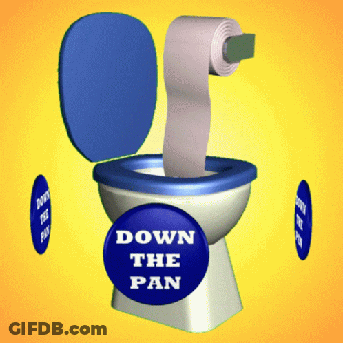 Toilet With Blue Button Saying Down The Pan GIF