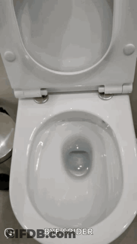 Toilet With Bye Spider Written On It GIF