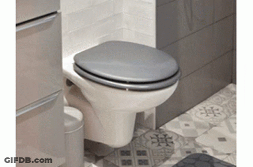 Toilet With Grey Seat In Bathroom GIF