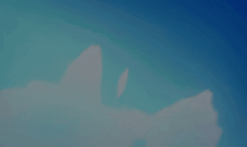 Toji Fushiguro Dark Soul Jujutsu Kaisen GIF