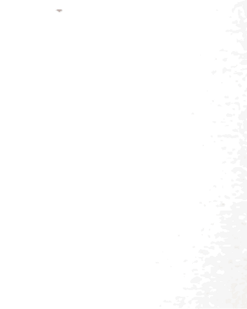 Toji Fushiguro Image Compilation GIF