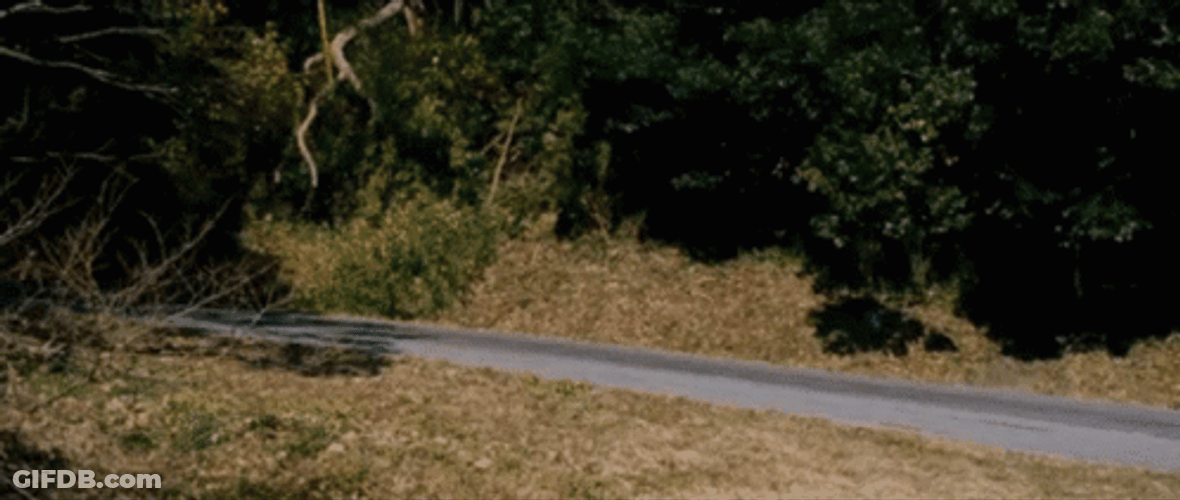 Tokyo Drift Zig Zag Road Car Race GIF