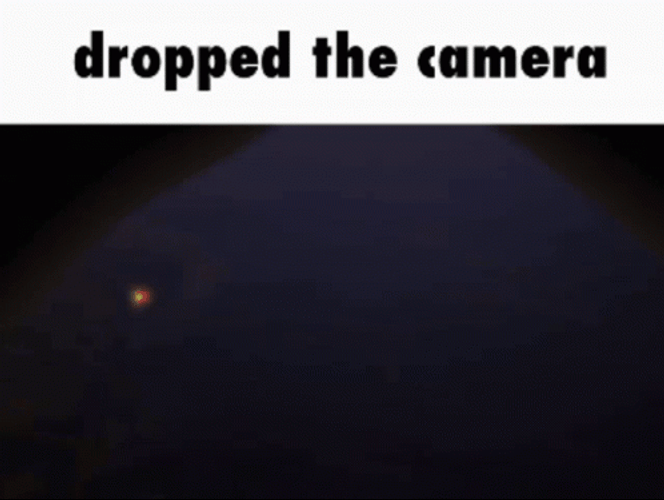 Tokyo Mirage Sessions Camera Meme GIF
