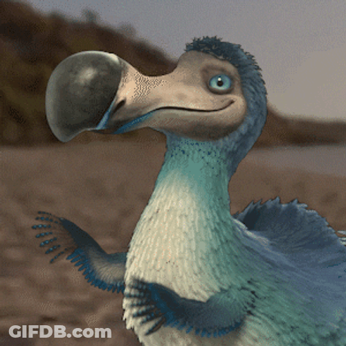 Told You Dodo Bird GIF