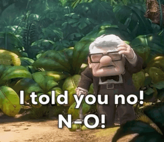 Told You No Carl Fredricksen GIF