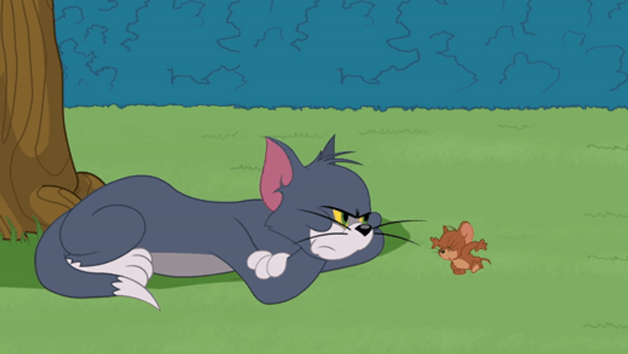 Tom And Jerry Annoyed Cat Slap Face GIF