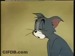 Tom And Jerry Cat Taking Picture With Camera GIF
