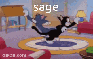 Tom And Jerry Dancing With Sage GIF