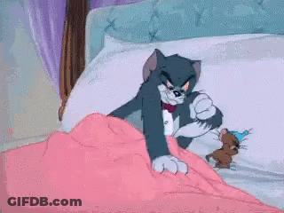 Tom And Jerry Fighting In Bed GIF