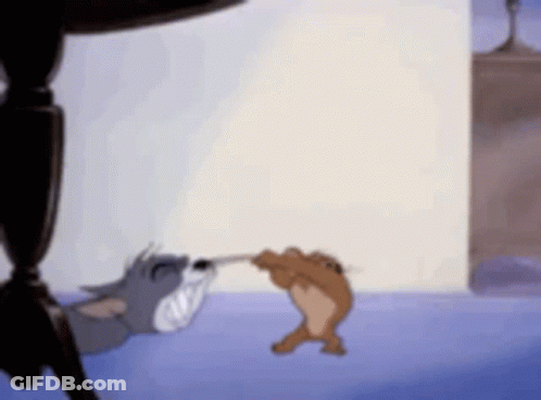 Tom And Jerry Fighting With A Stick GIF