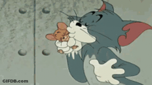 Tom And Jerry Fighting With Rat GIF