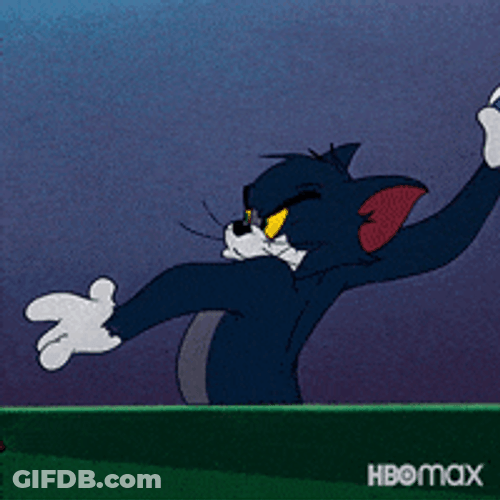 Tom And Jerry Happy Catching Tennis Ball GIF