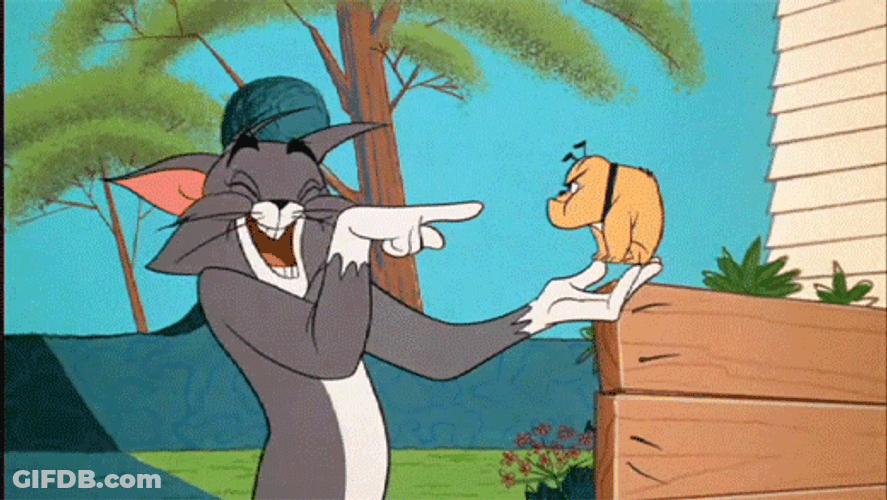 Tom And Jerry Laughing Teasing Tiny Bulldog GIF