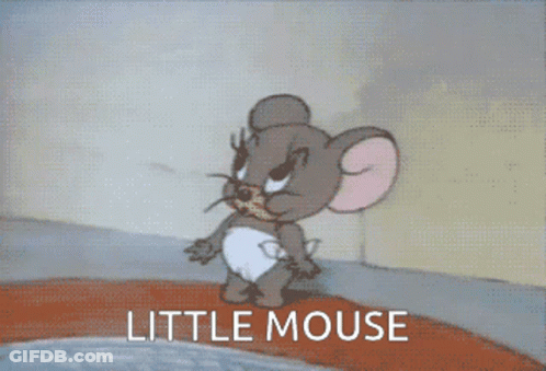 Tom And Jerry Mouse GIF