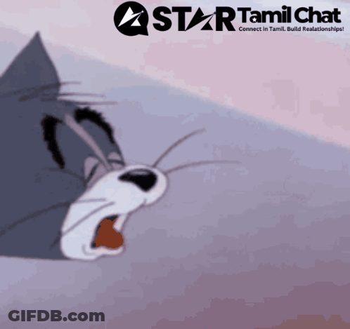 Tom And Jerry With Star Tamil Chat Logo GIF