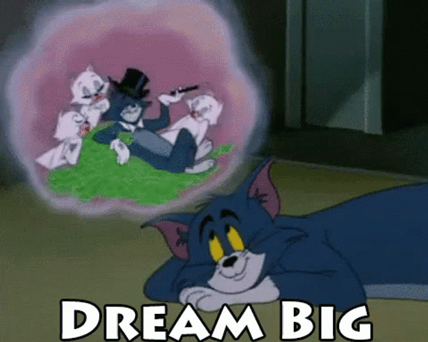 Tom Cat Dreaming Money Girls GIF