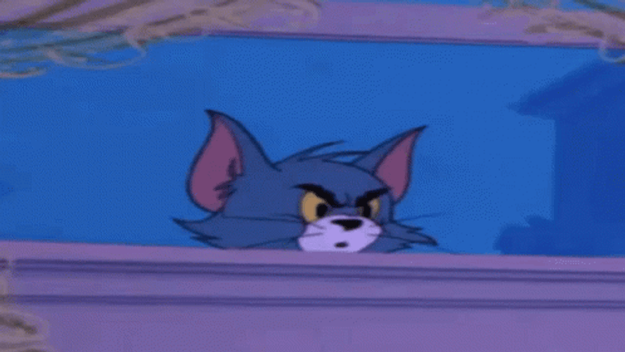 Tom Cat Peeking Through Window GIF