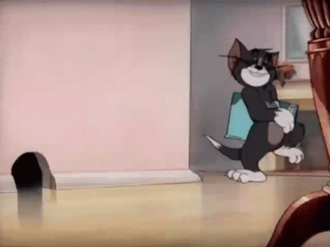 Tom Cat Reading Book GIF