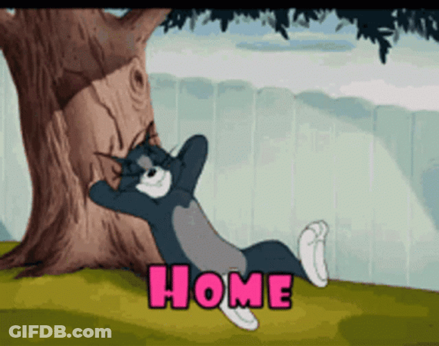 Tom Cat Resting And Relaxing At Home GIF