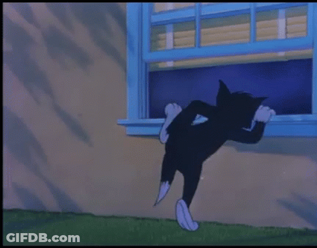 Tom Cat Sneaking In Through Window GIF