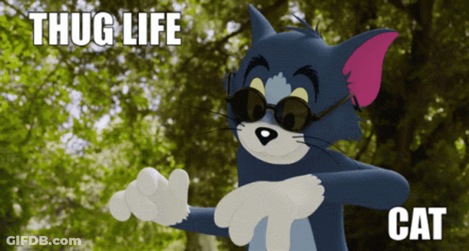 Tom Cat Tome And Jerry Thug Life GIF