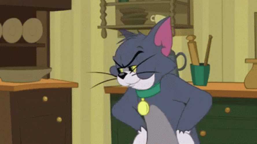 Tom Cat Wearing Collar To Tease GIF