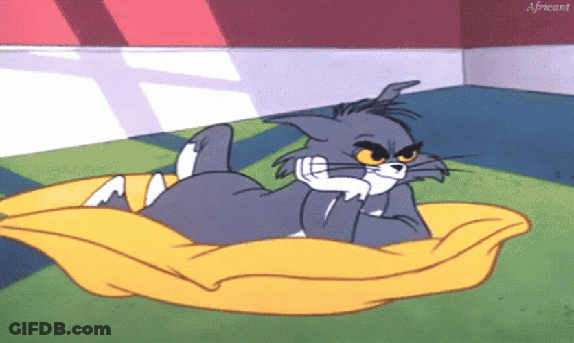 Tom Cat With Gun Pointing On It's Head GIF