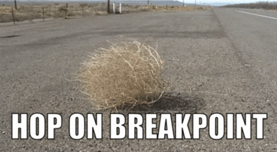 Tom Clancy's Ghost Recon Wildlands Tumbleweed GIF