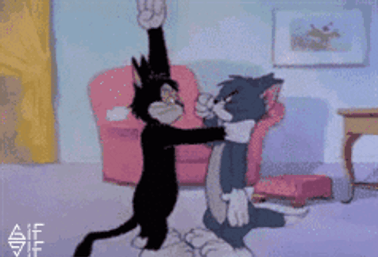Tom Fighting With Black Cat GIF