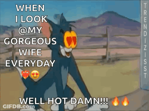 Tom From Tom And Jerry Says When I Look @ My Gorgeous Wife Everyday Well Hot Damn GIF