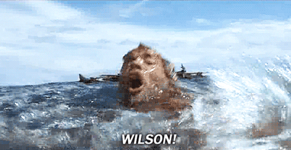 Tom Hanks Crying For Wilson GIF