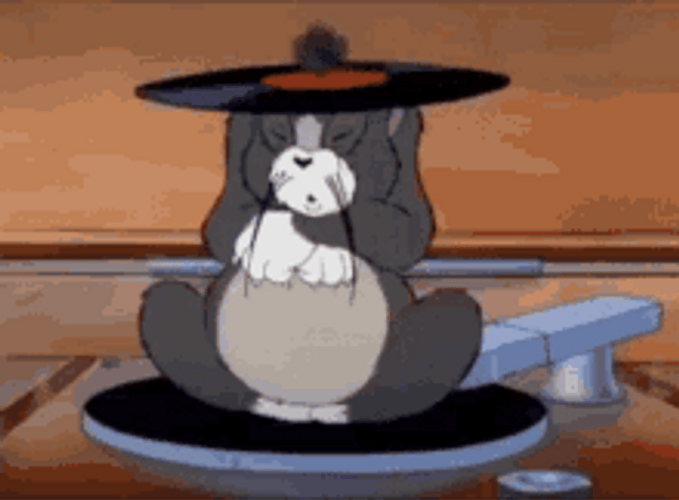 Tom Rotating Disc Player GIF