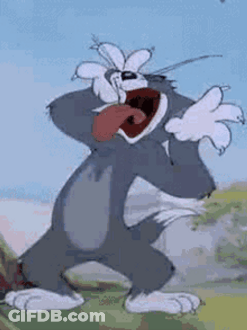 Tom Silly Face GIF