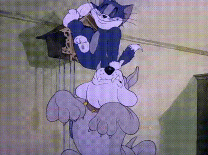 Tom Tease Spike By Wagging His Tail GIF