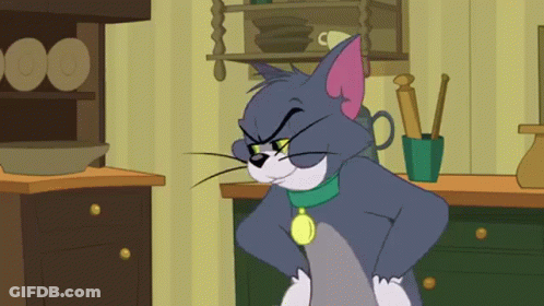 Tom The Cat GIF