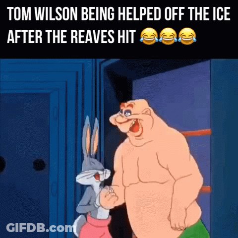 Tom Wilson Helped Off Ice After Reaves Hit Bugs Bunny GIF