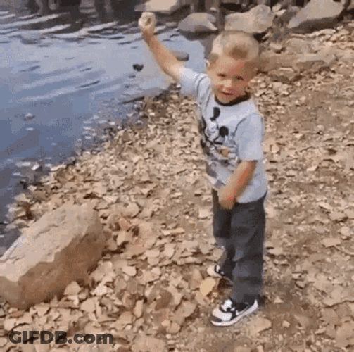 Toma GIF