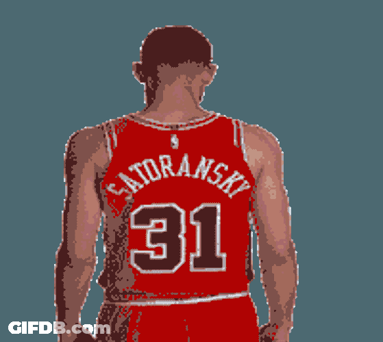 Tomas Satoransky Pose Sticker GIF