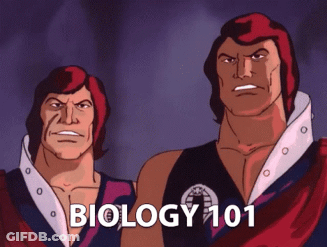 Tomax And Xamot Biology 101 GIF