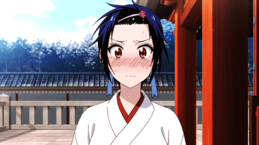 Tomboy Nisekoi Anime Seishirou Tsugumi GIF