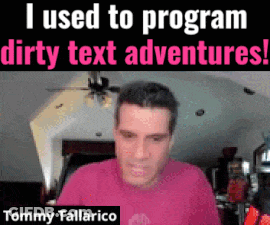 Tommy Tallarico Says He Used To Program Dirty Text Adventures GIF
