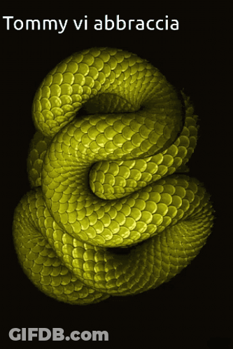 Tommy Vi Abbraccia Yellow Snake Poster GIF