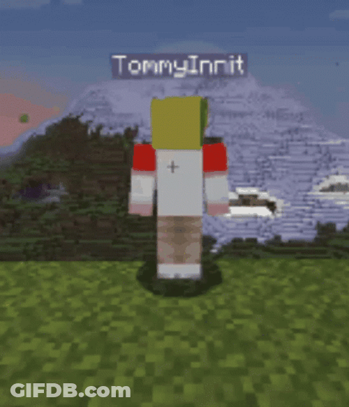 Tommyinnit Roblox Character Vanishing GIF