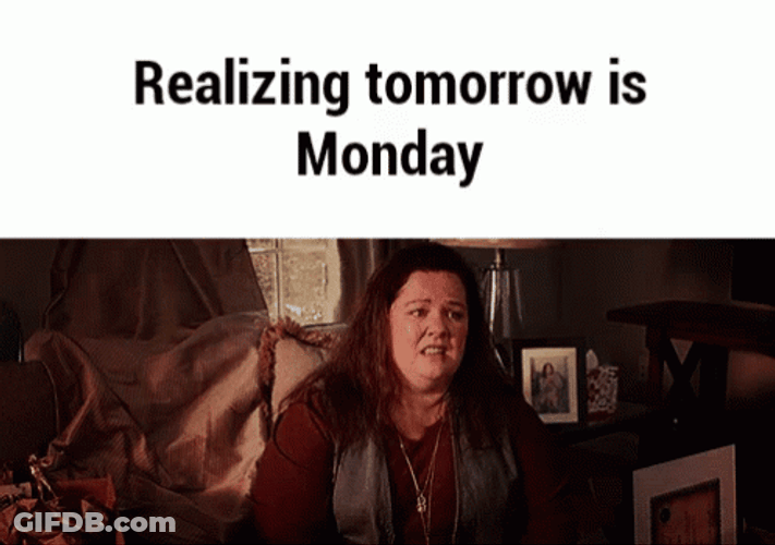 Tomorrow Is Monday Melissa McCarthy GIF